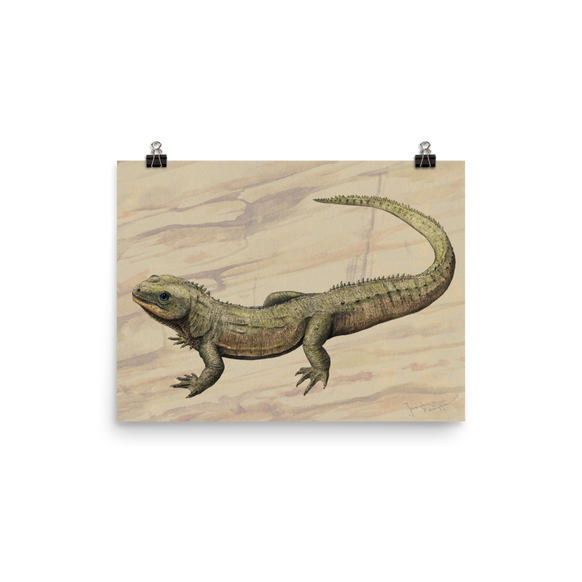 Oenosaurus muehlheimensis poster