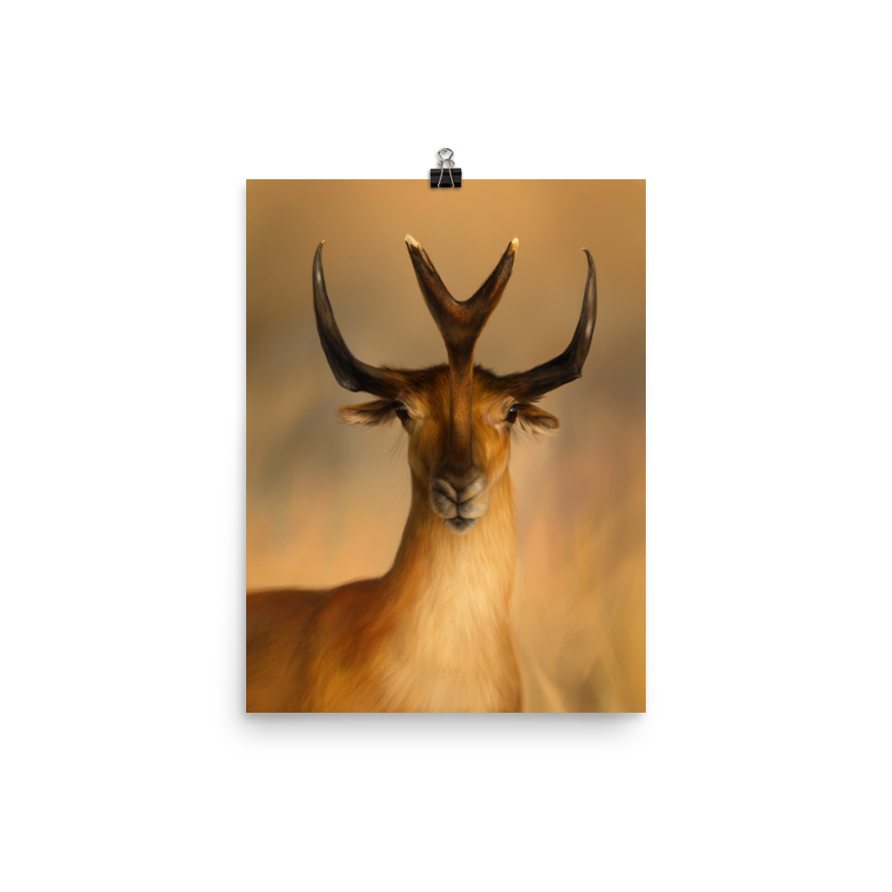 Synthetoceras tricornatus — Poster 12×16
