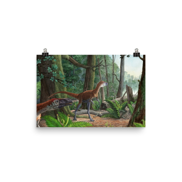Dilong - Morning in the Chinese Forest — Poster 12×18
