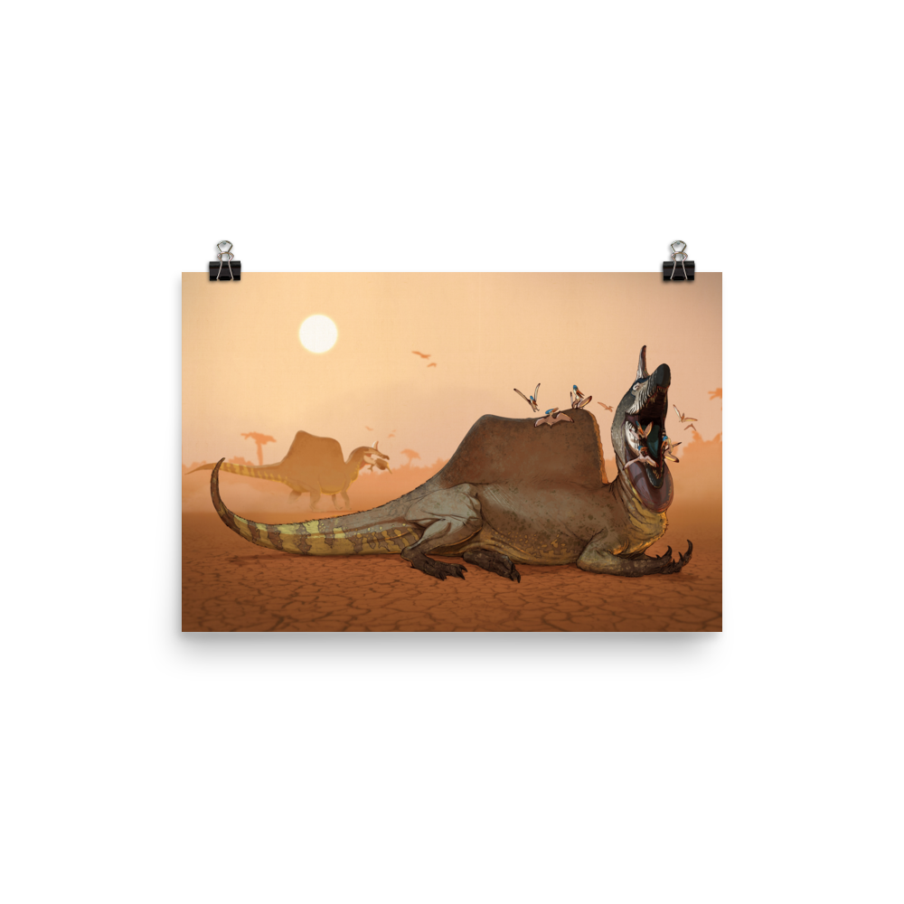 Spinosaurus aegyptiacus — Poster 12×18