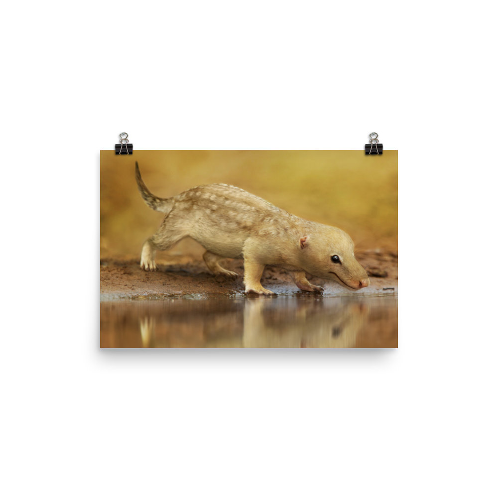 Bonacynodon schultzi — Poster 12×18