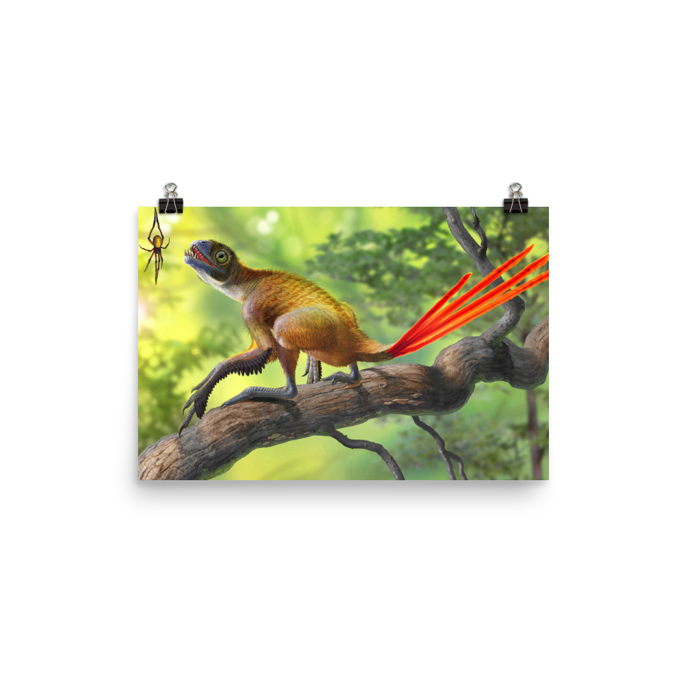 Epidexipteryx hui and Mongolarachne — Poster 12×18