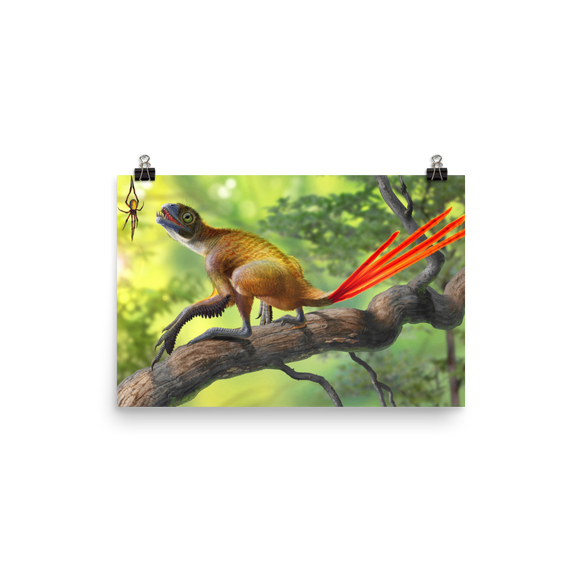 Epidexipteryx hui and Mongolarachne — Poster 12×18