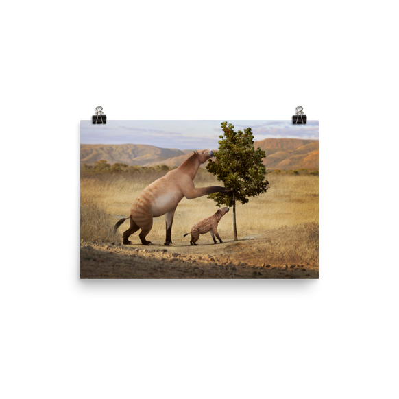 Chalicotherium sp. poster