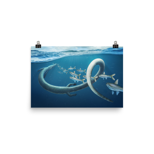 Pleurosaurus sp. poster