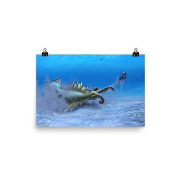 Anomalocaris sp. — Poster 12×18