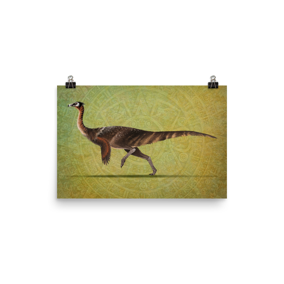 Saltillomimus rapidus poster