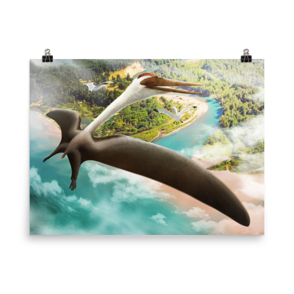 Quetzalcoatlus northropi — Poster 18×24