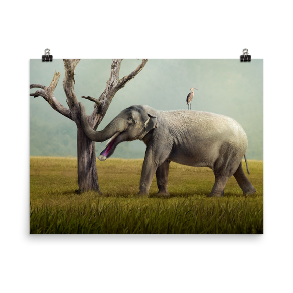Platybelodon grangeri — Poster 18×24