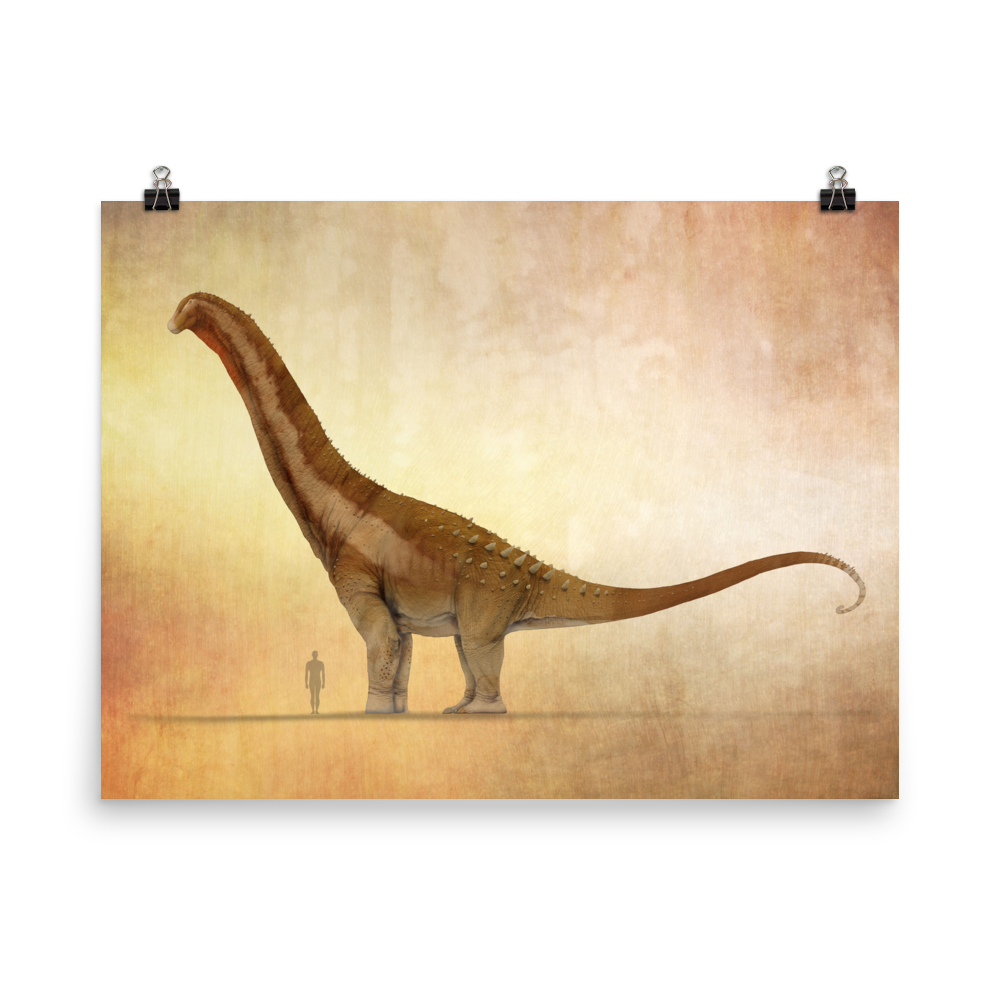 Alamosaurus sanjuanensis — Poster 18×24