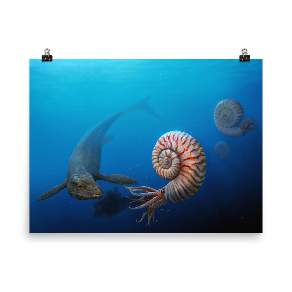 Parapuzosia vs Mosasaurus — Poster 18×24