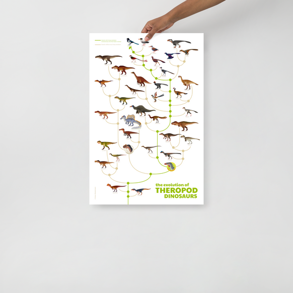 Evolution of Theropod Dinosaurs poster