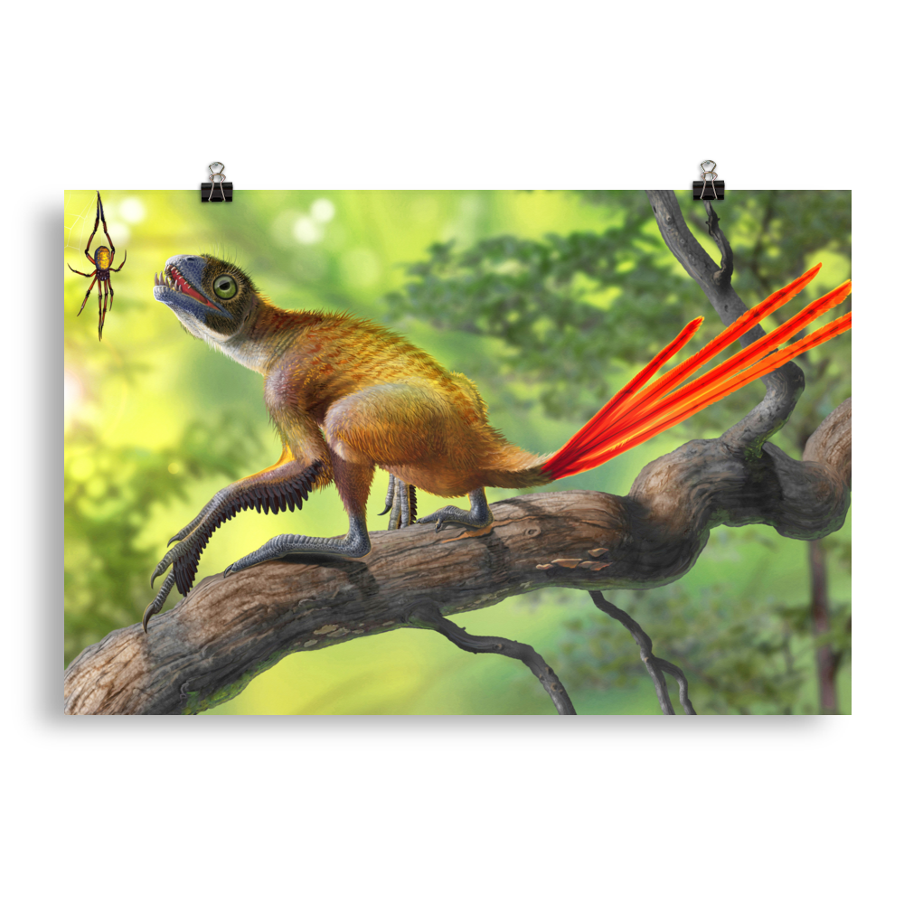 Epidexipteryx hui and Mongolarachne — Poster 20×30