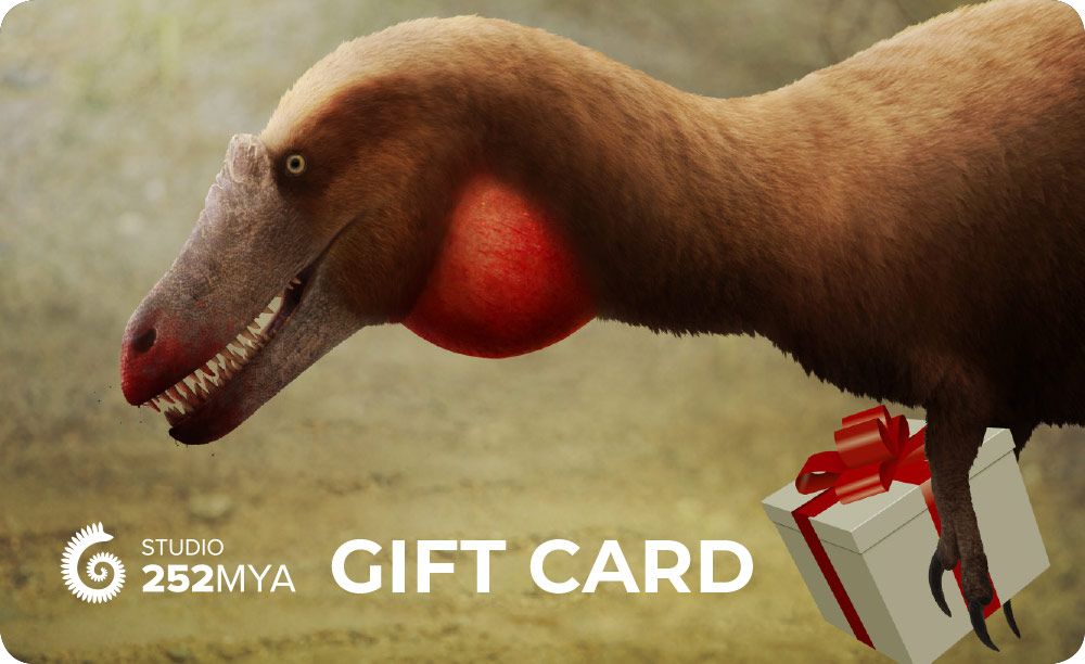 Studio 252MYA Gift Card