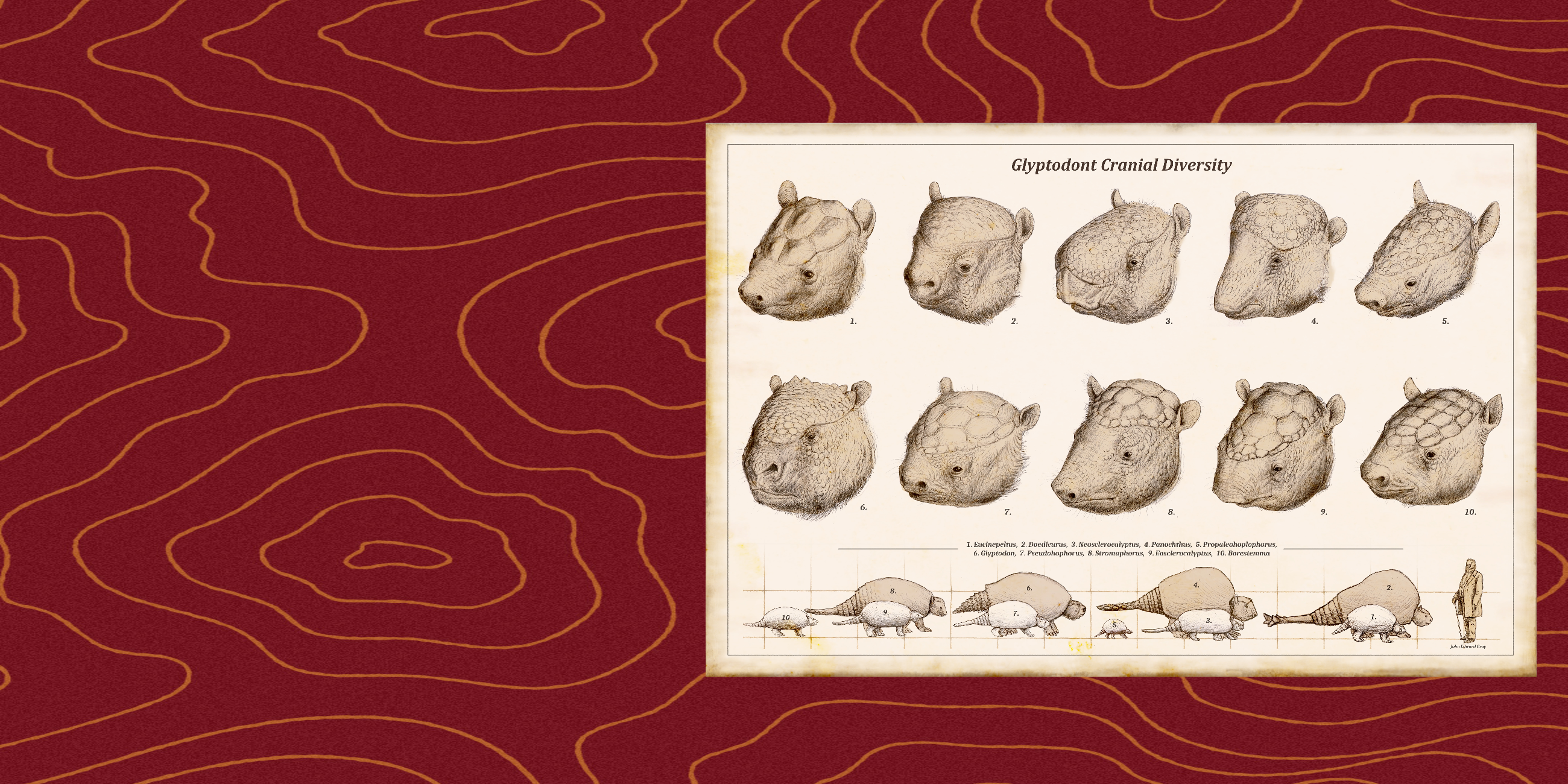 glypto-banner-1783653820826.png