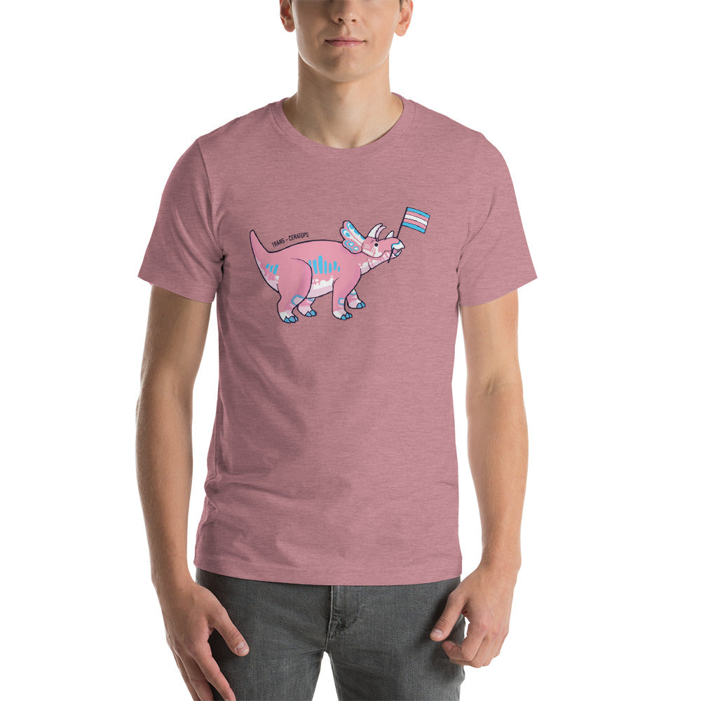 Trans Pride Statement Kit component