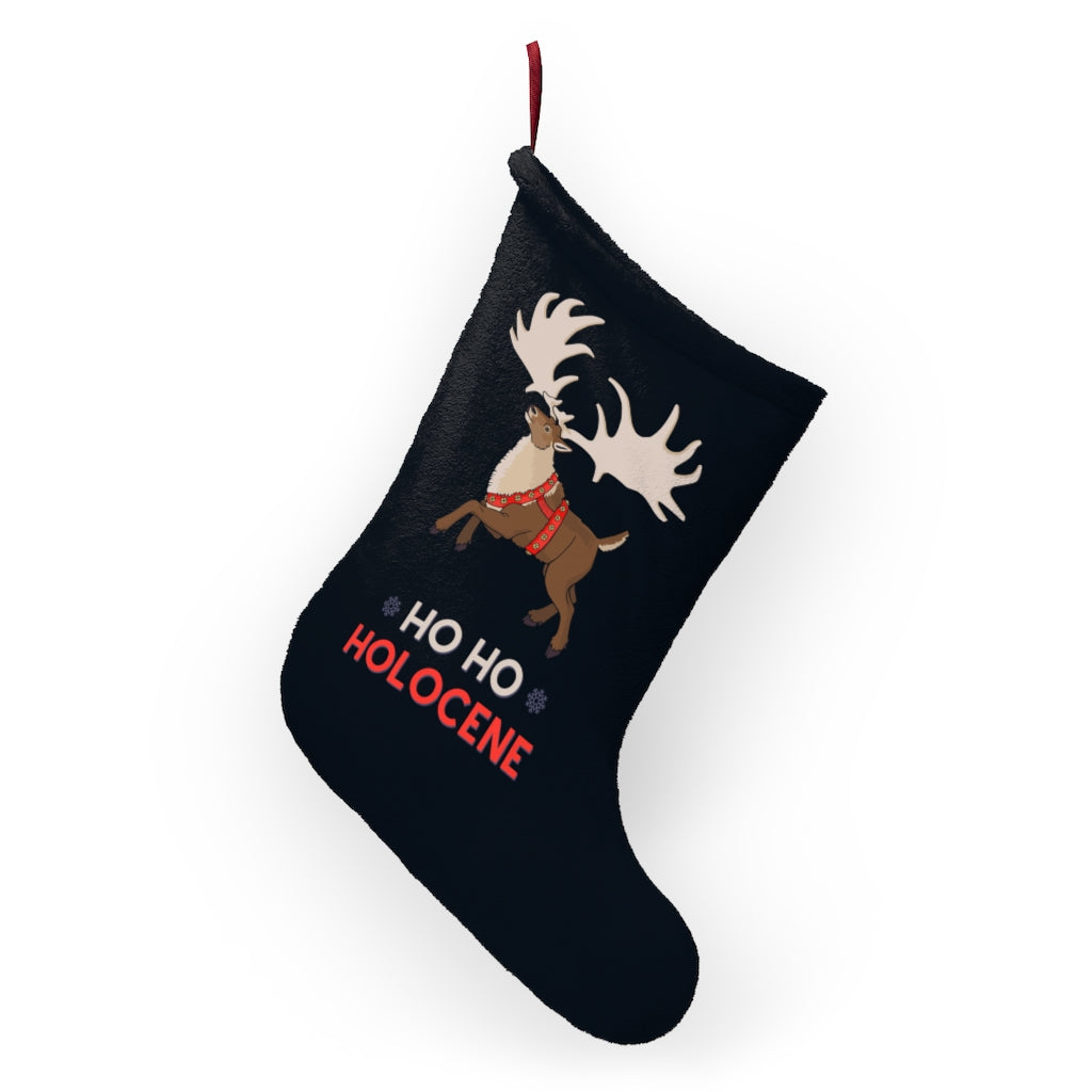 Ho Ho Holocene Christmas stocking