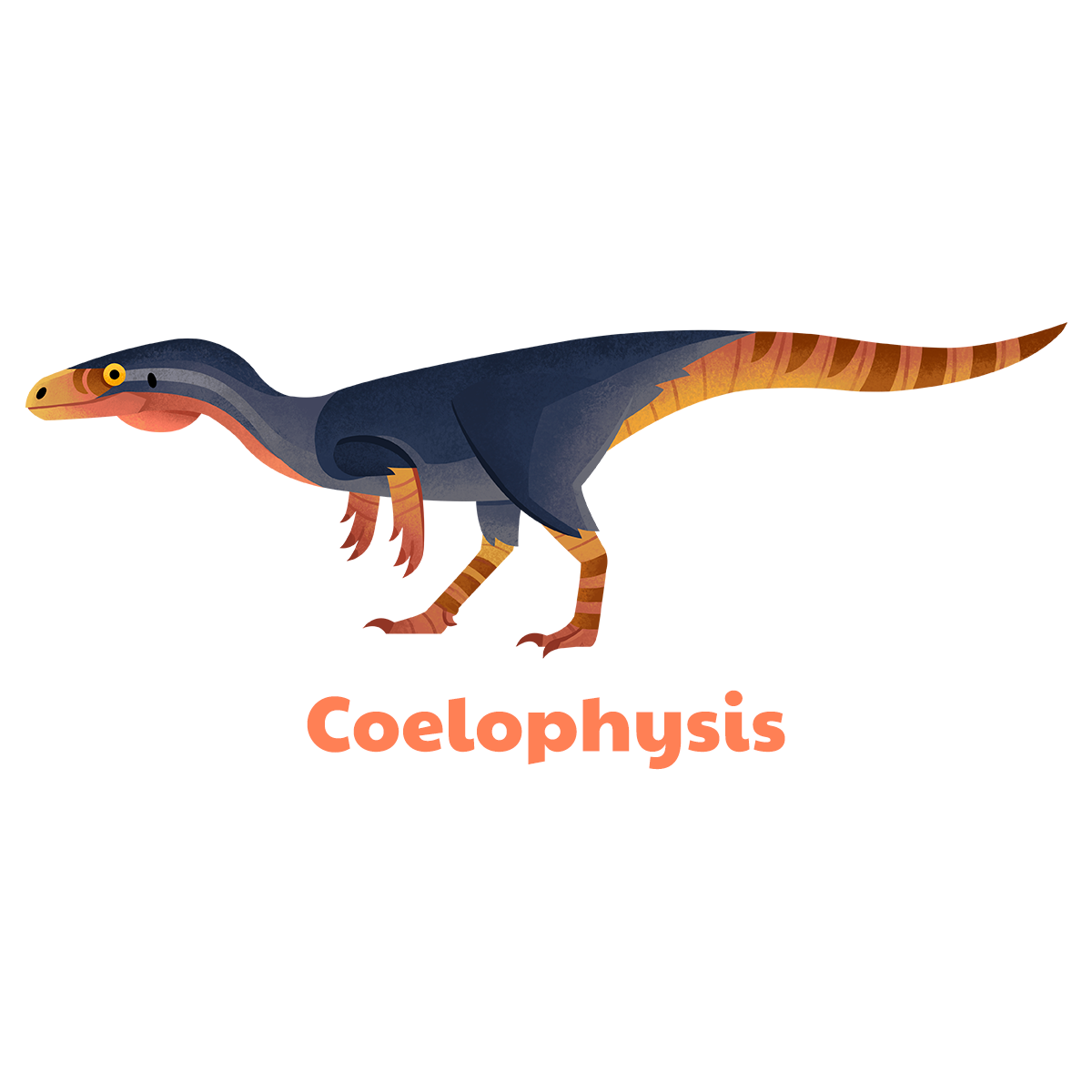 Coelophysis t-shirt