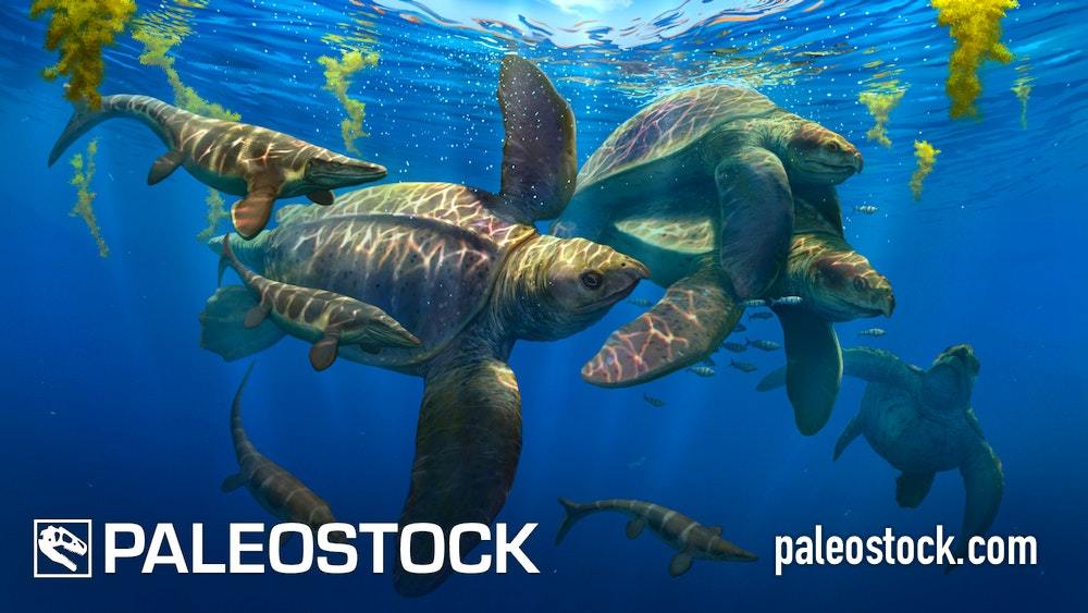 Archelon Mating stock image