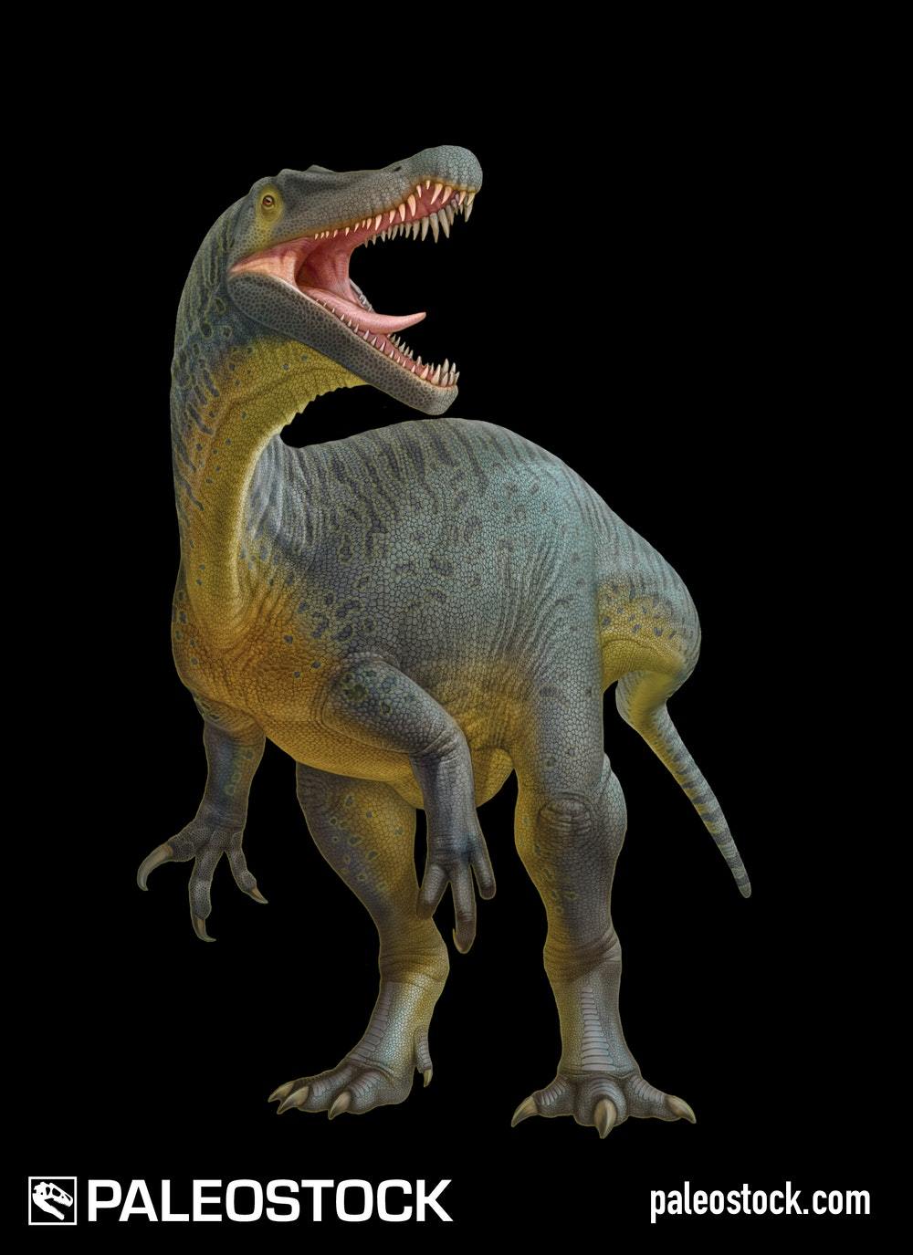 Baryonyx Walkeri stock image