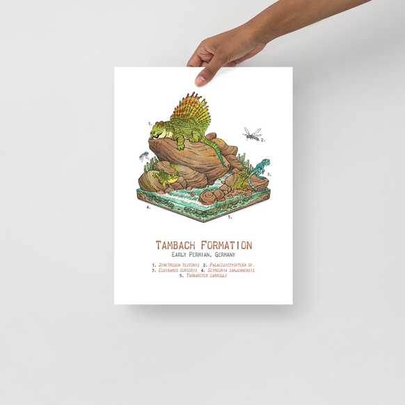 Tambach Formation Diorama poster