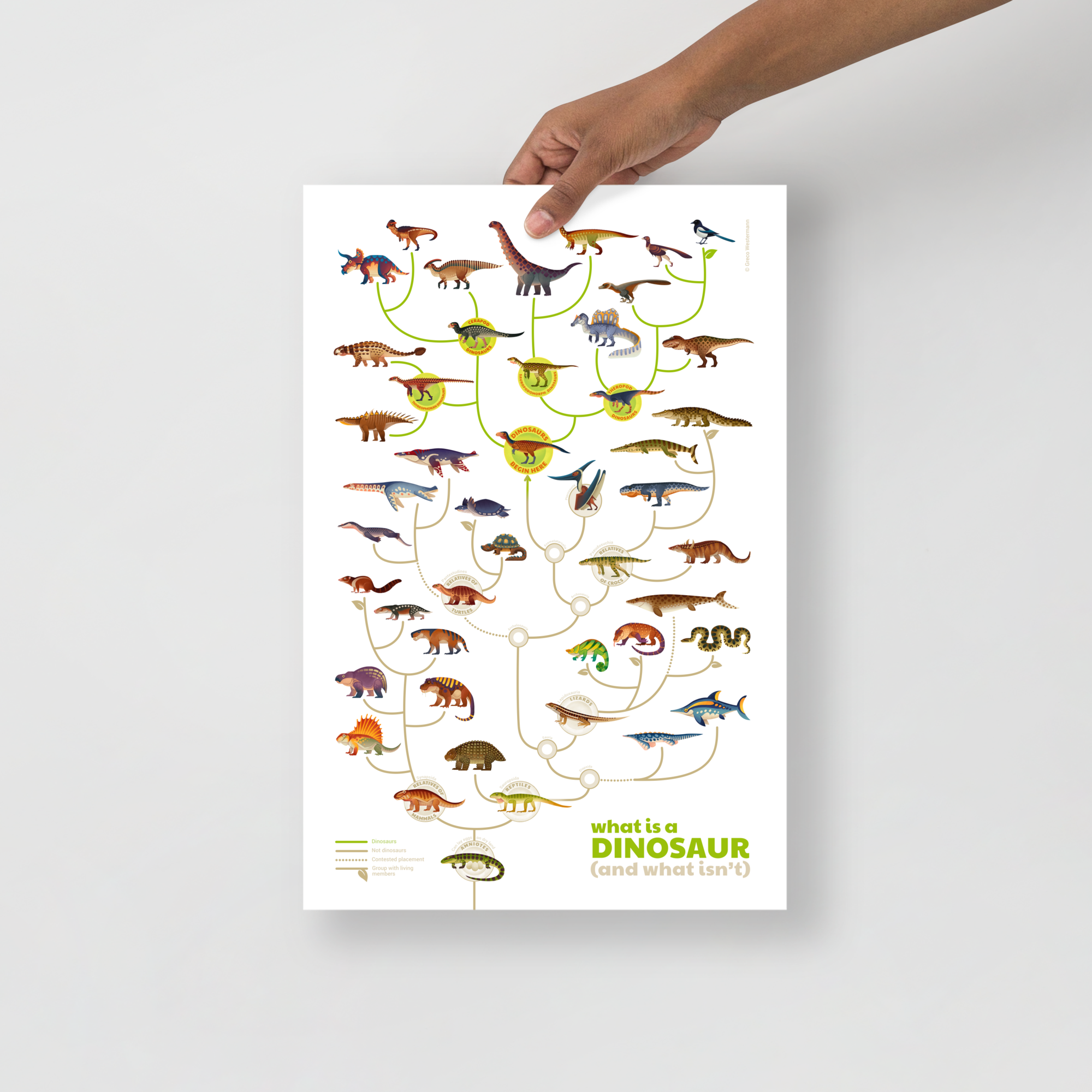 What is a Dinosaur poster