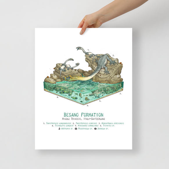 Besano Formation Diorama poster