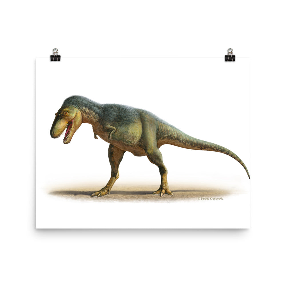 Gorgosaurus poster