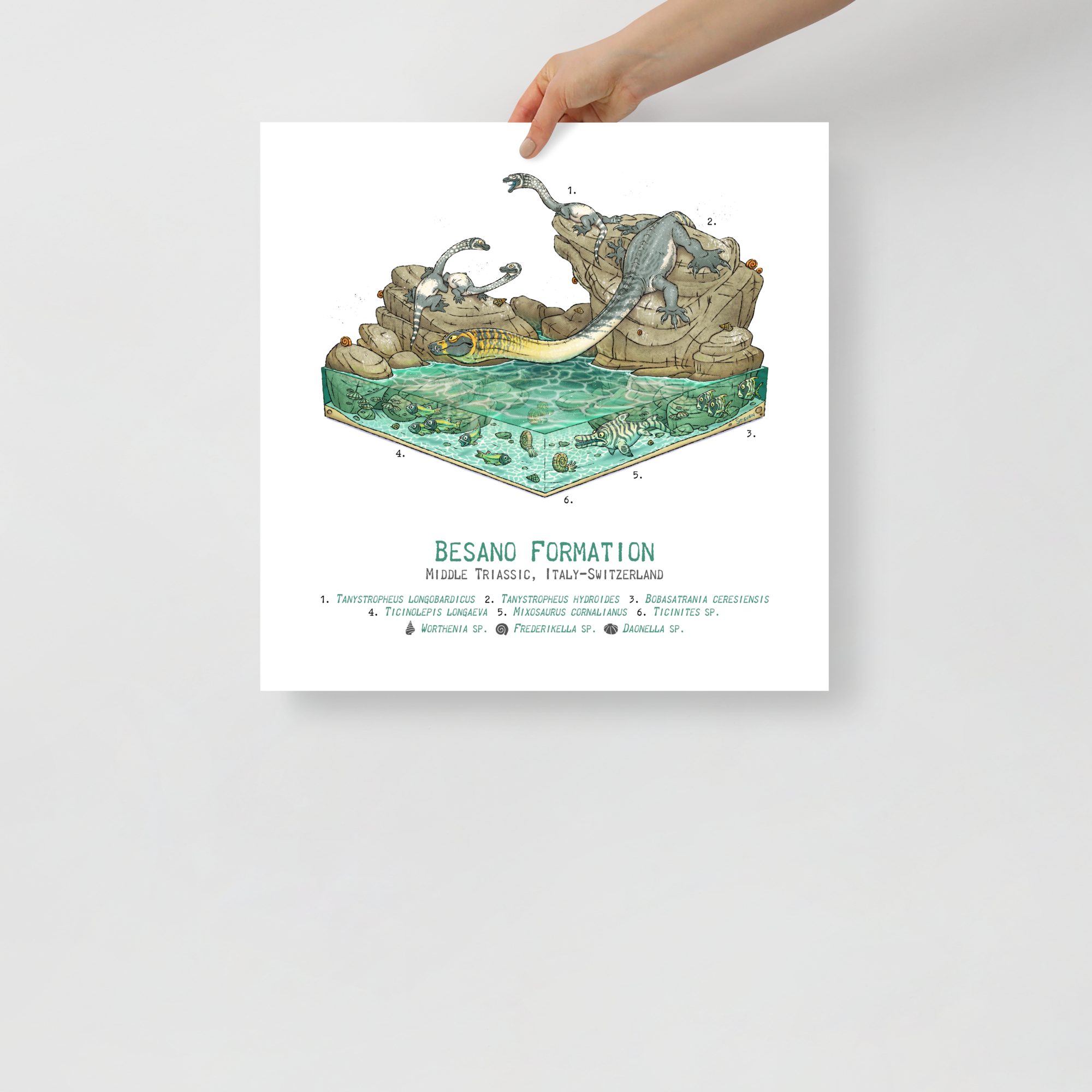 Besano Formation Diorama poster