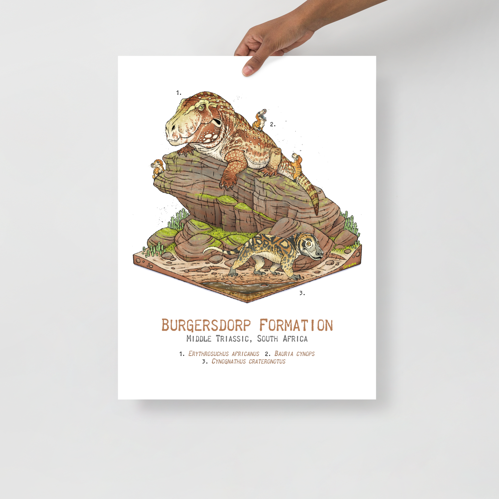 Burgersdorp Formation Diorama poster