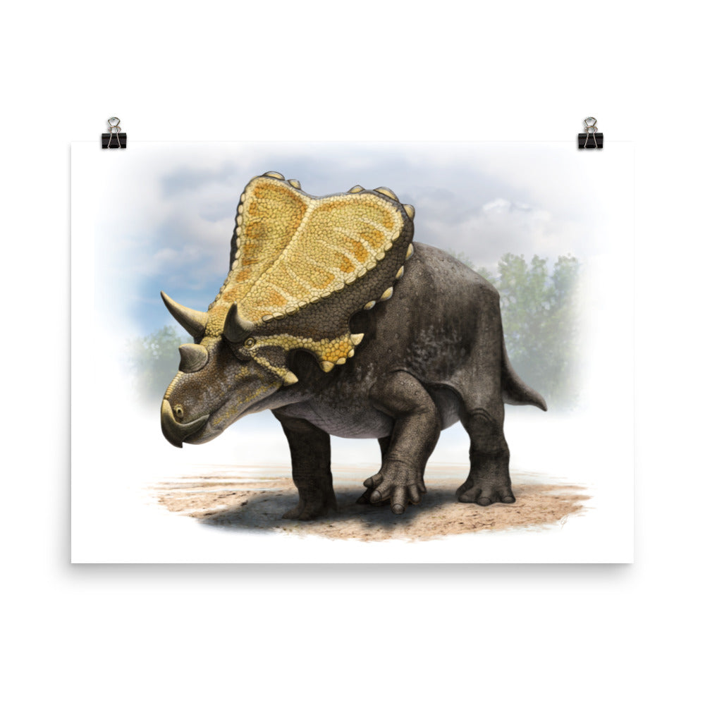 Mercuriceratops poster