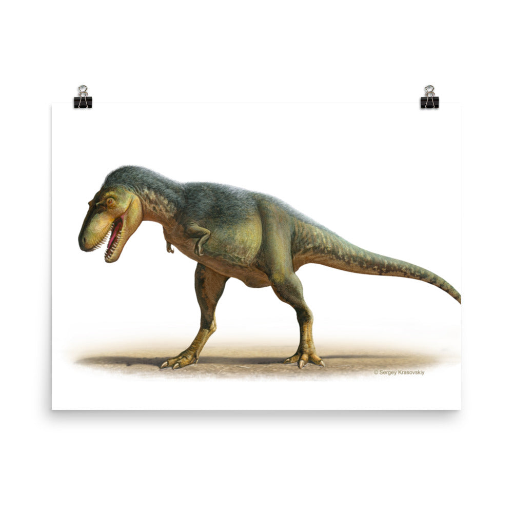 Gorgosaurus poster