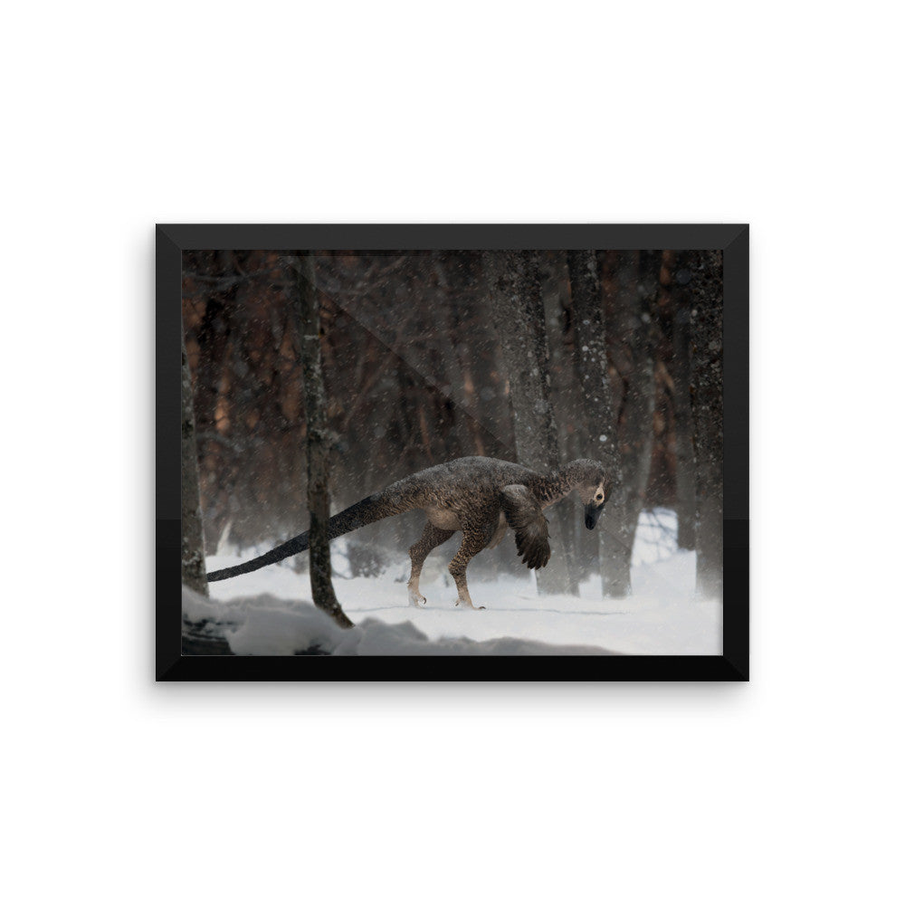 Alaskan troodontid framed print