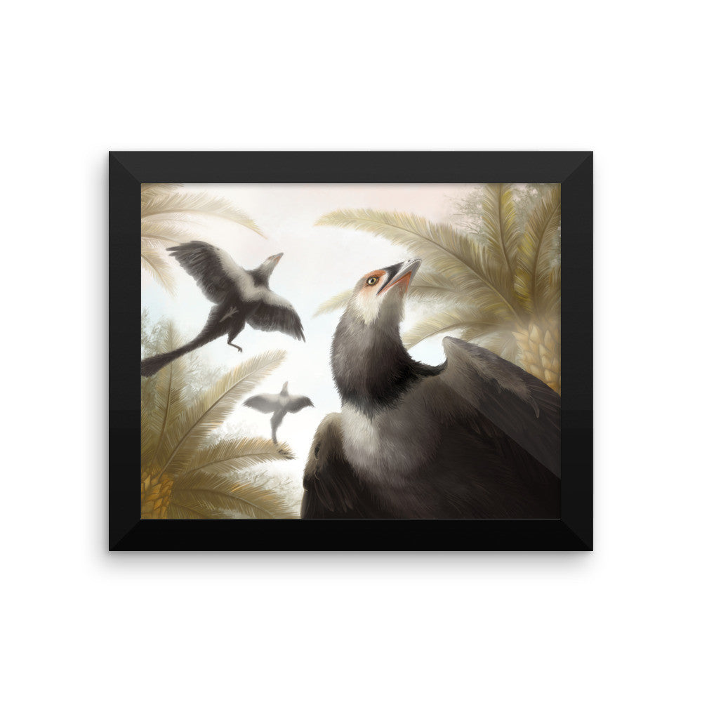 Archaeopteryx framed print