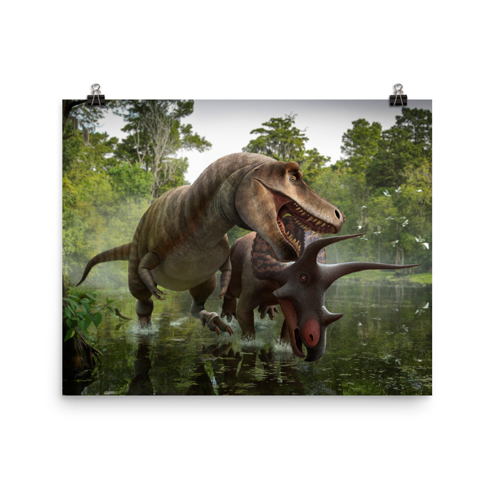 Triceratops vs Tyrannosaurus poster