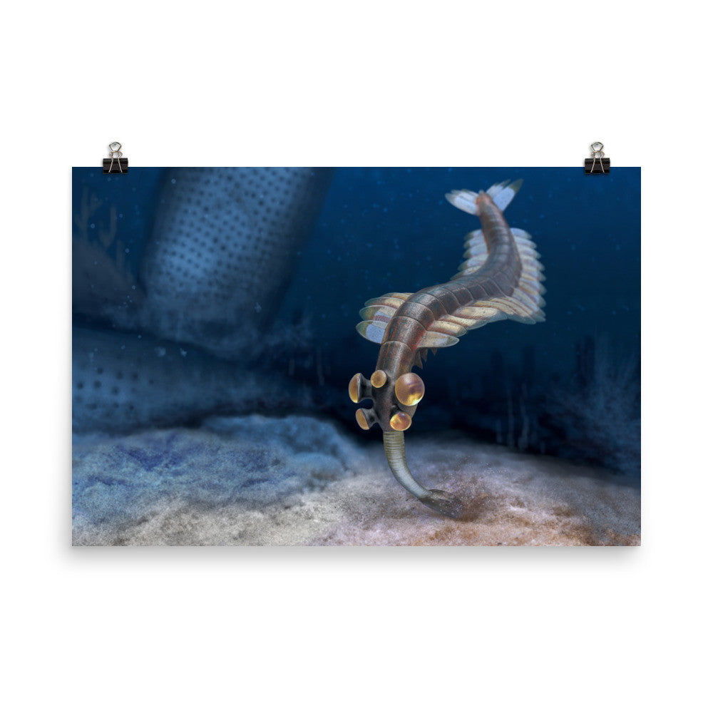 Opabinia poster