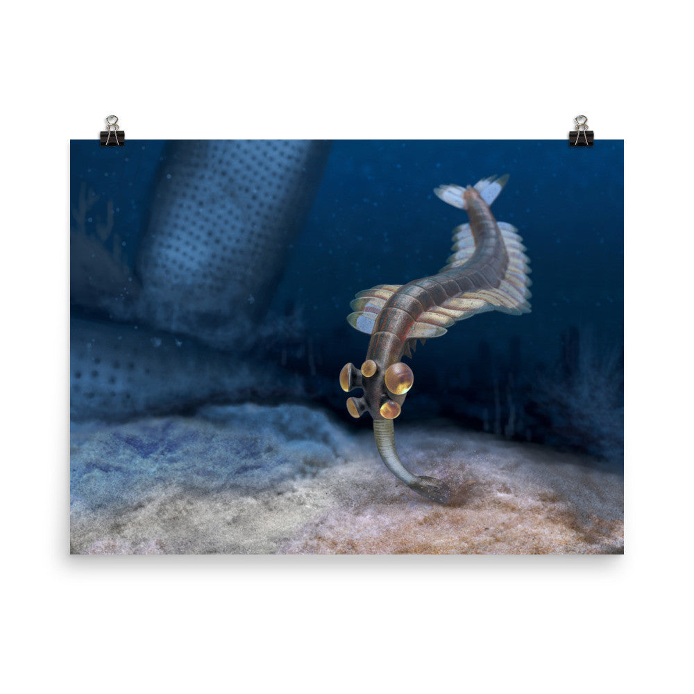 Opabinia poster