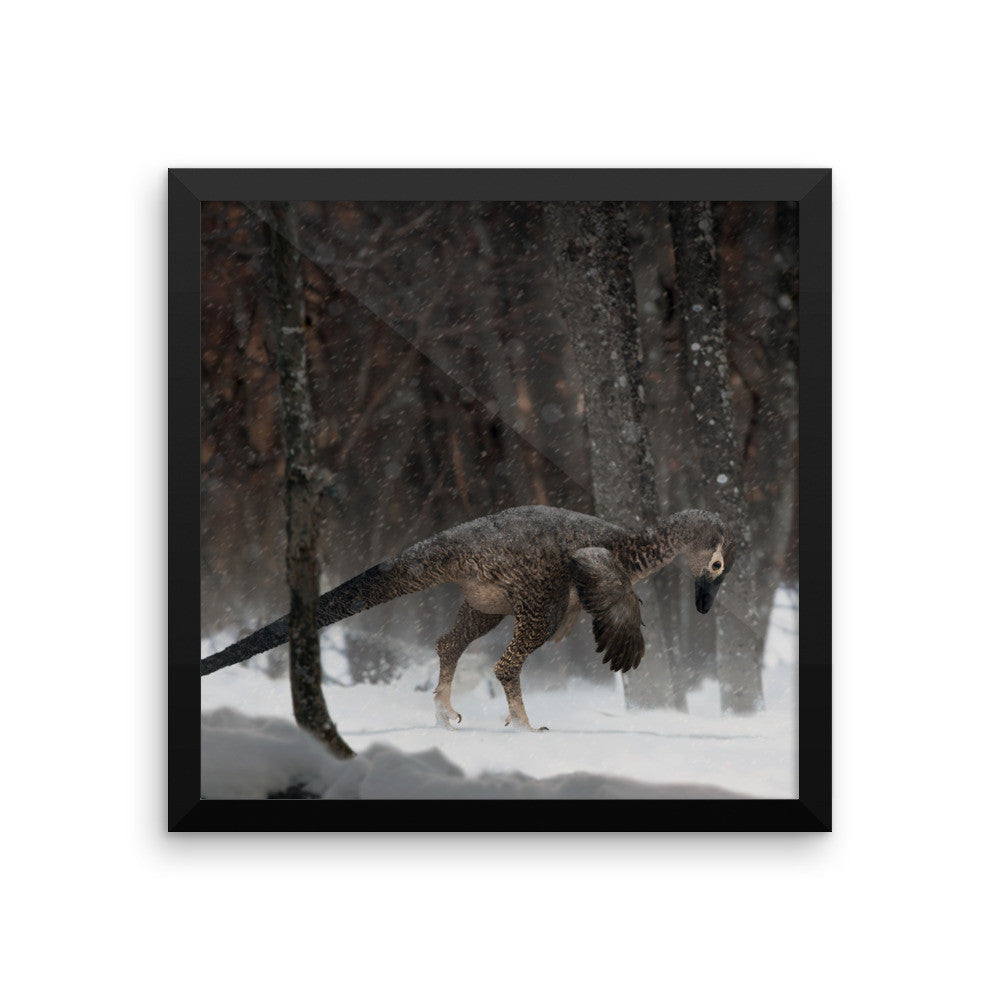 Alaskan troodontid framed print