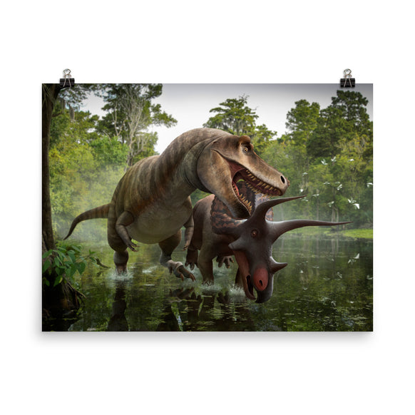 Triceratops vs Tyrannosaurus poster