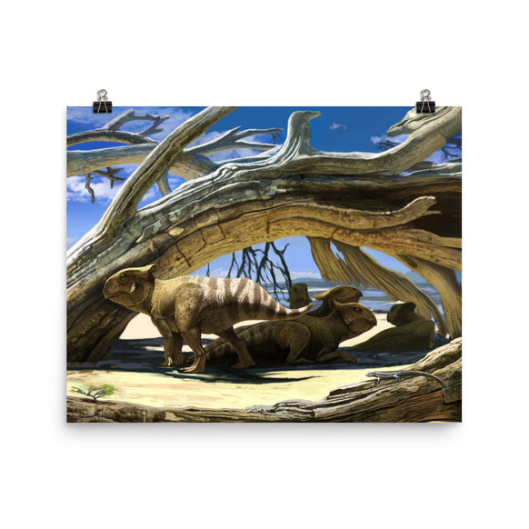 Protoceratops poster