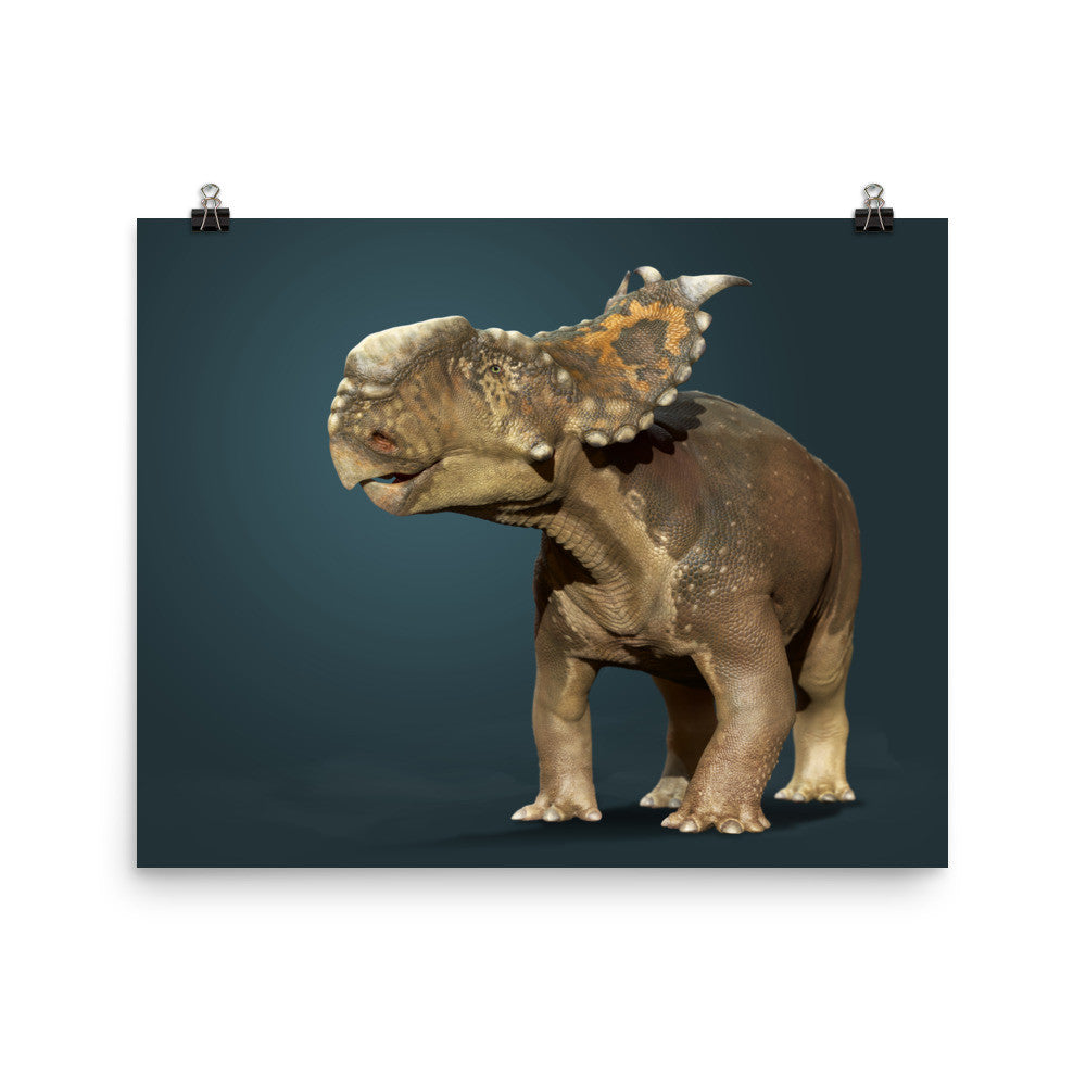 Pachyrhinosaurus poster