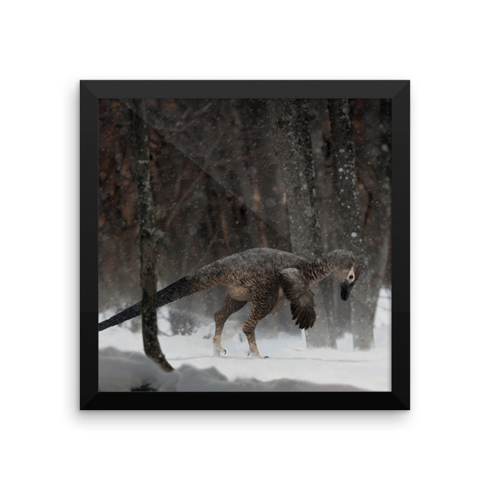 Alaskan troodontid framed print