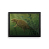 Liaoningosaurus framed print