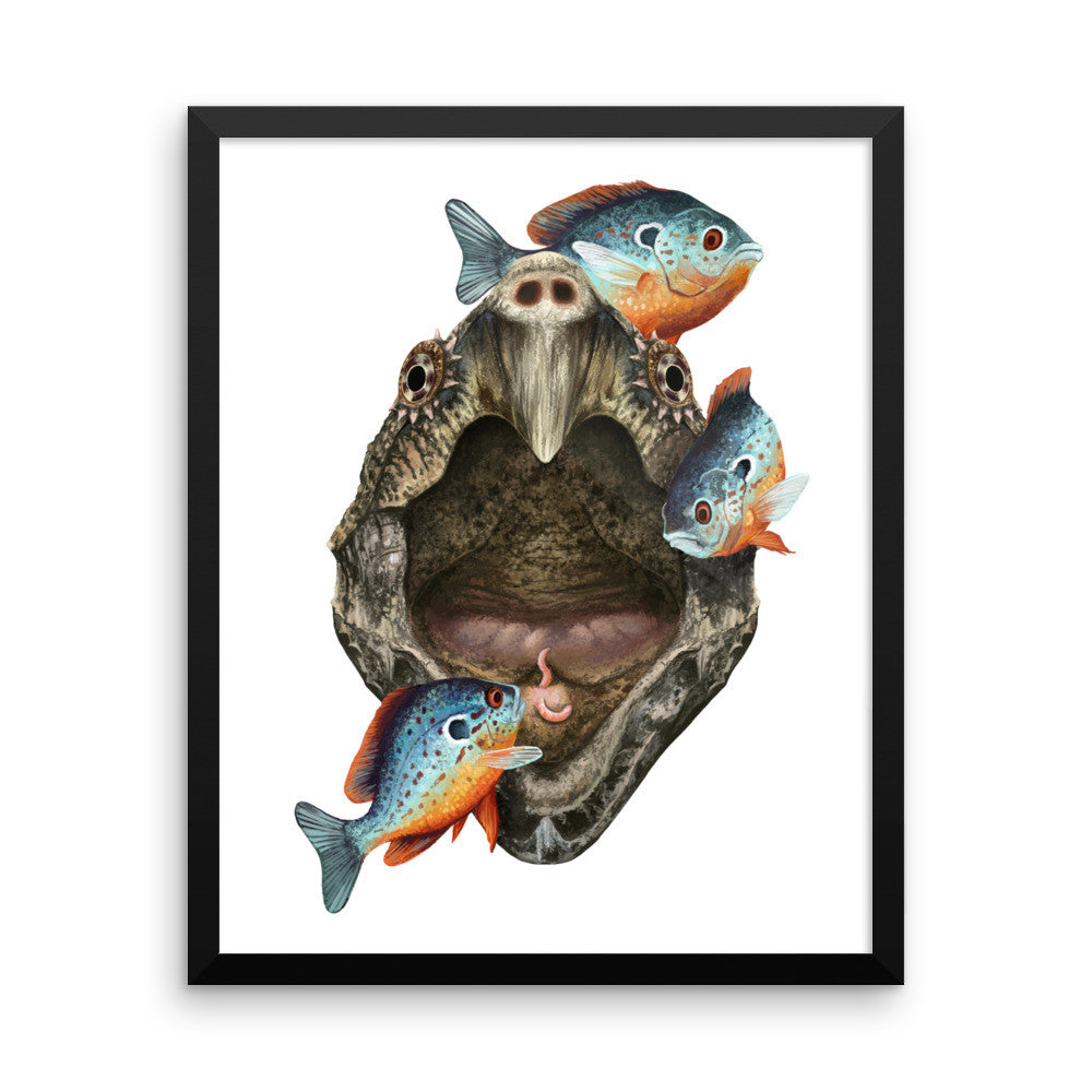 Alligator snapping turtle framed print