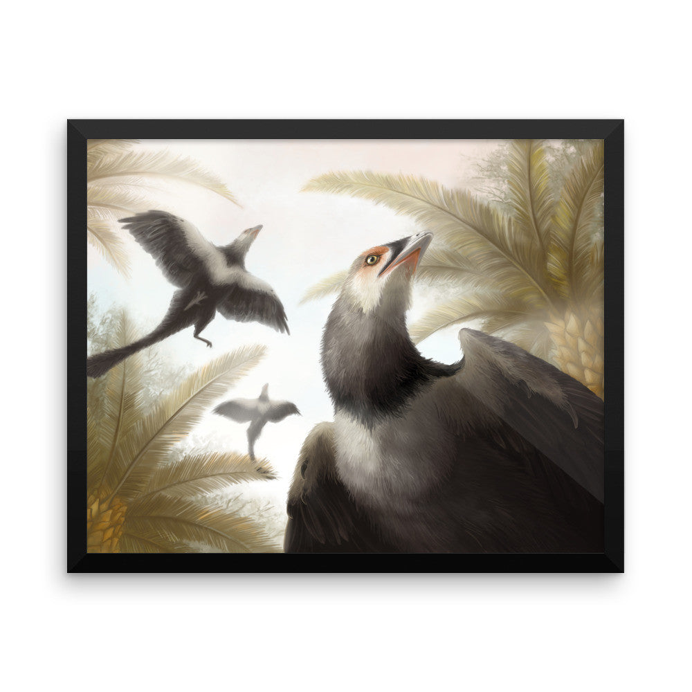 Archaeopteryx framed print