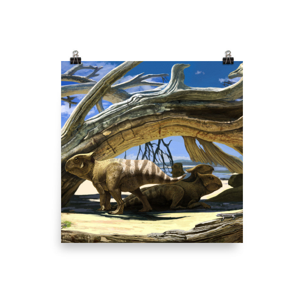 Protoceratops poster