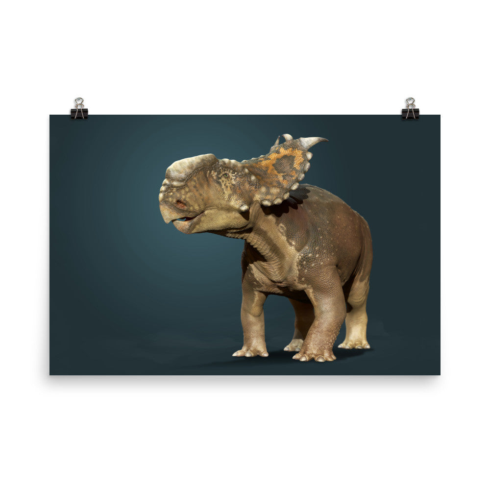 Pachyrhinosaurus poster