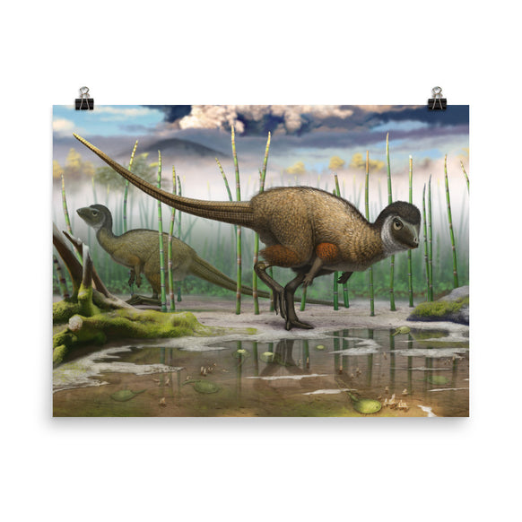 Kulindadromeus poster