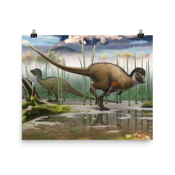 Kulindadromeus poster