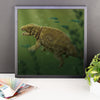 Liaoningosaurus framed print